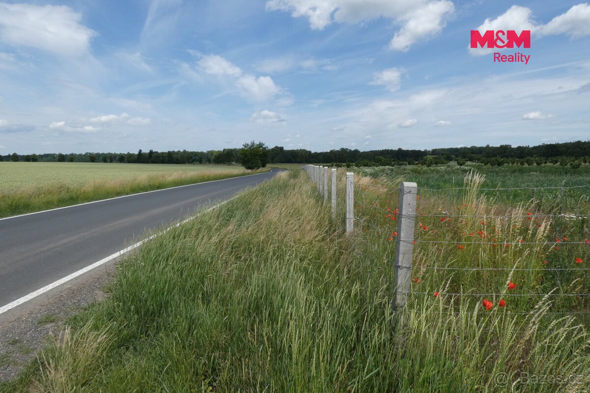 Prodej ovocného sadu, 18000 m², Nové Dvory