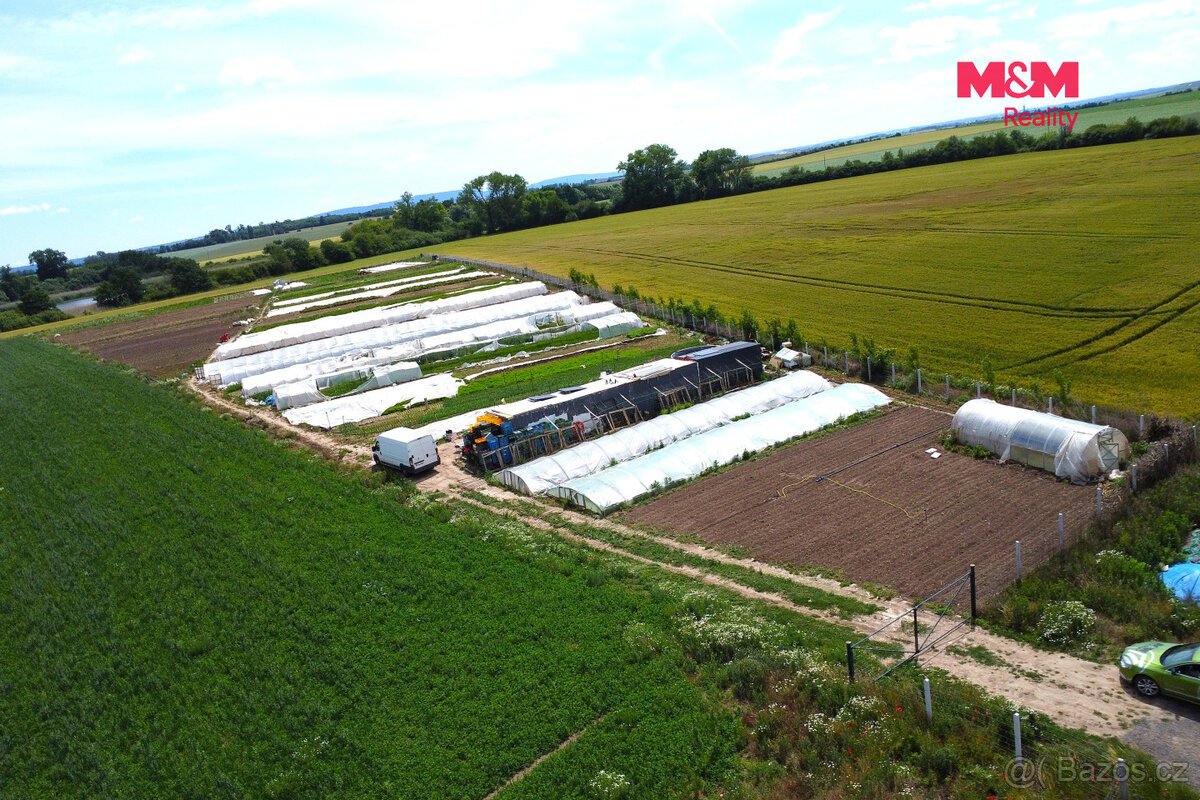 Prodej ovocného sadu, 18000 m², Nové Dvory