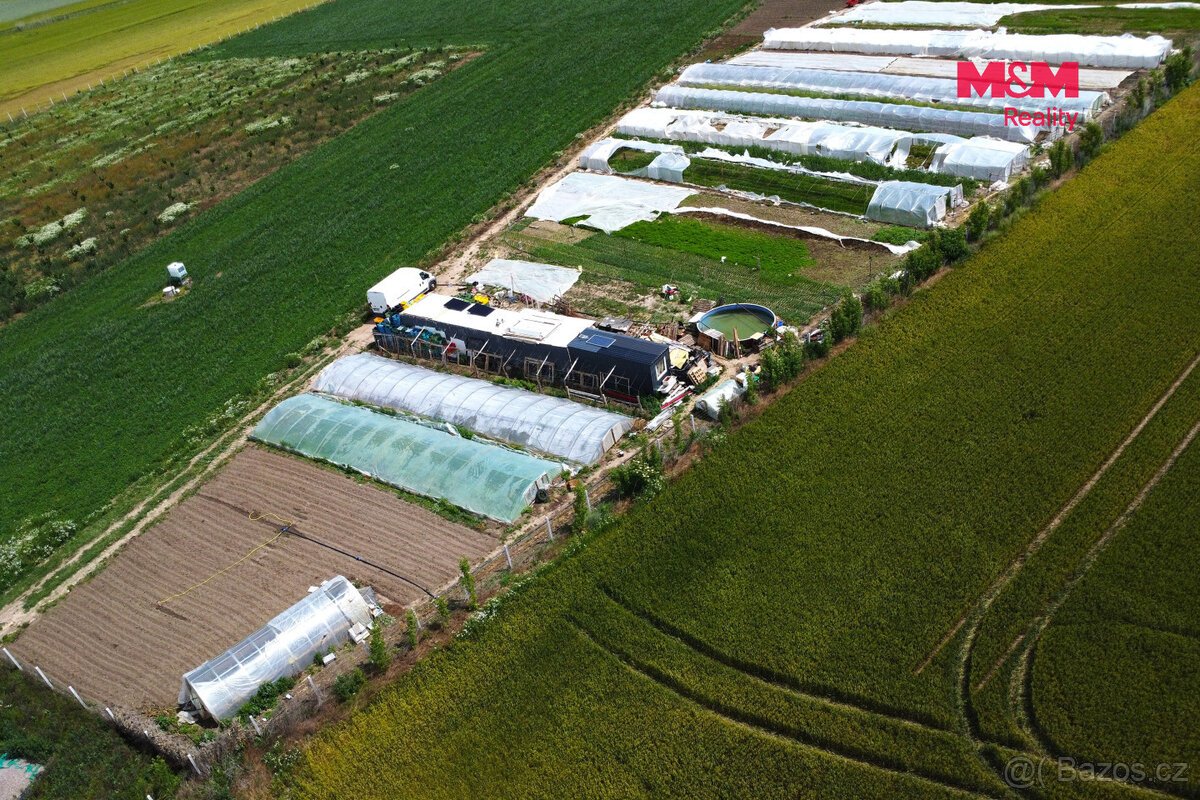 Prodej ovocného sadu, 18000 m², Nové Dvory