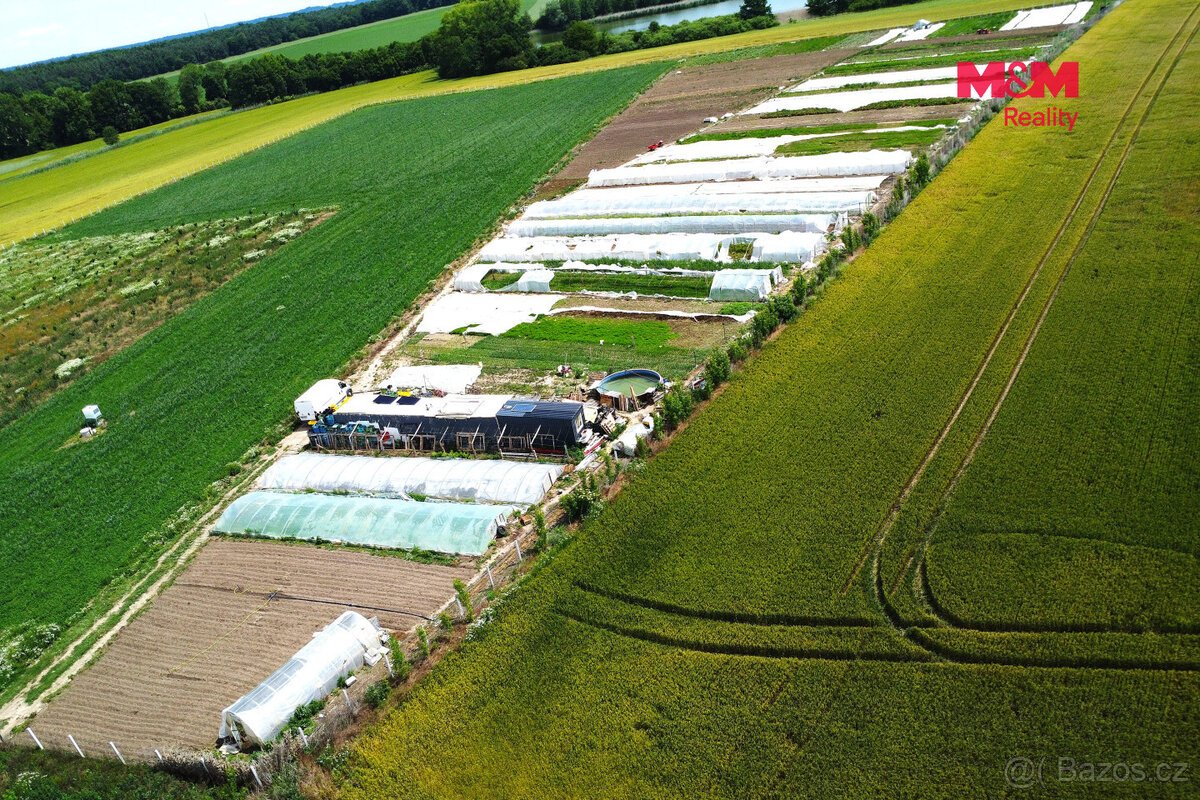 Prodej ovocného sadu, 18000 m², Nové Dvory
