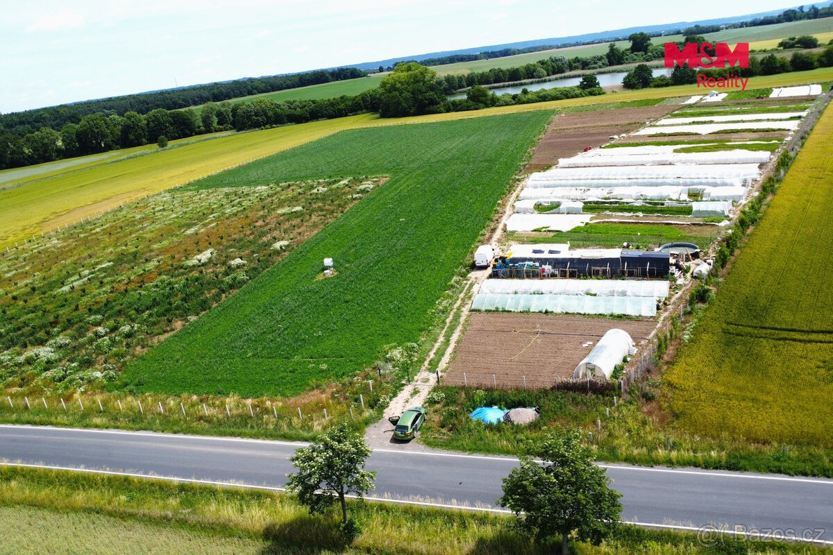 Prodej ovocného sadu, 18000 m², Nové Dvory