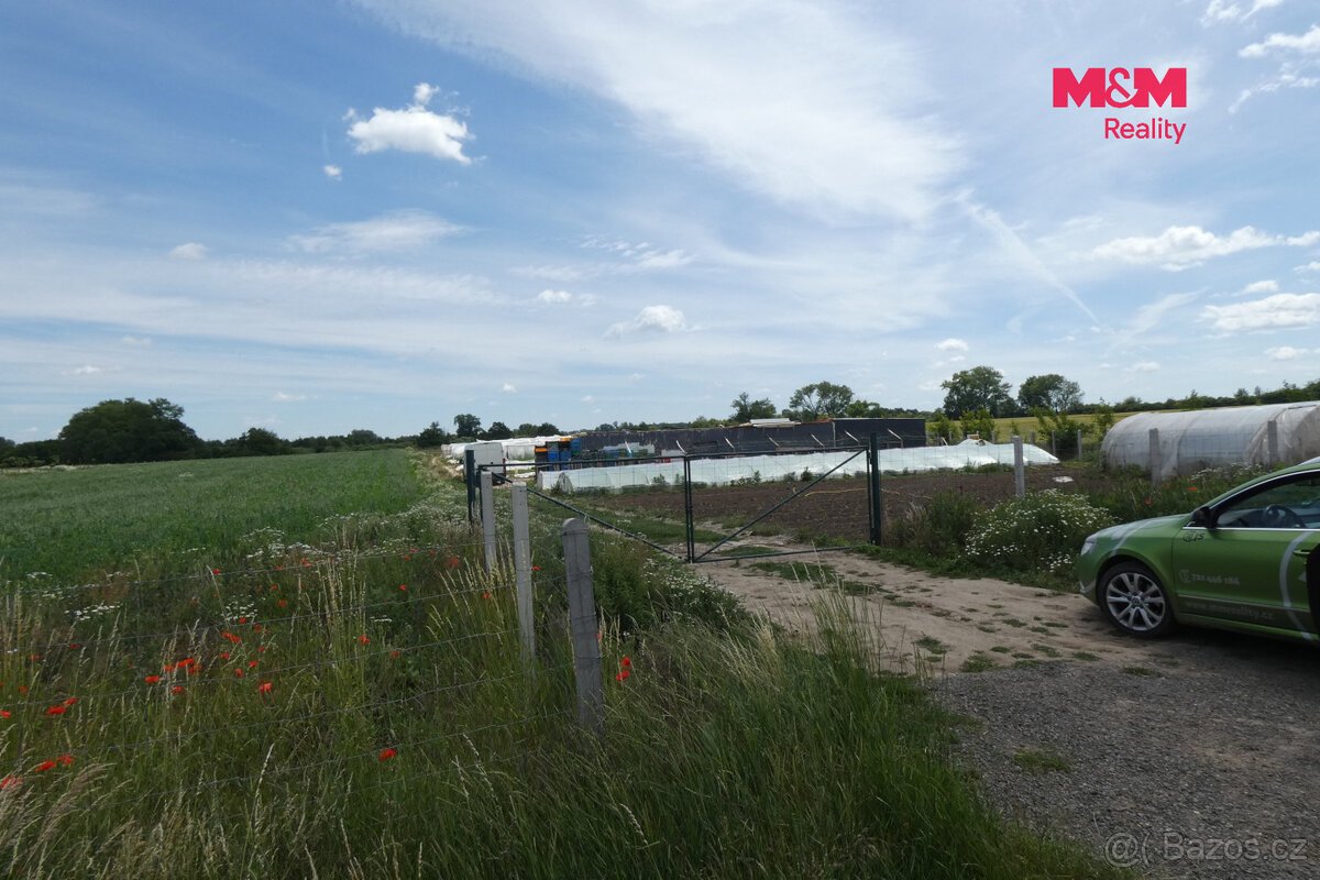 Prodej ovocného sadu, 18000 m², Nové Dvory