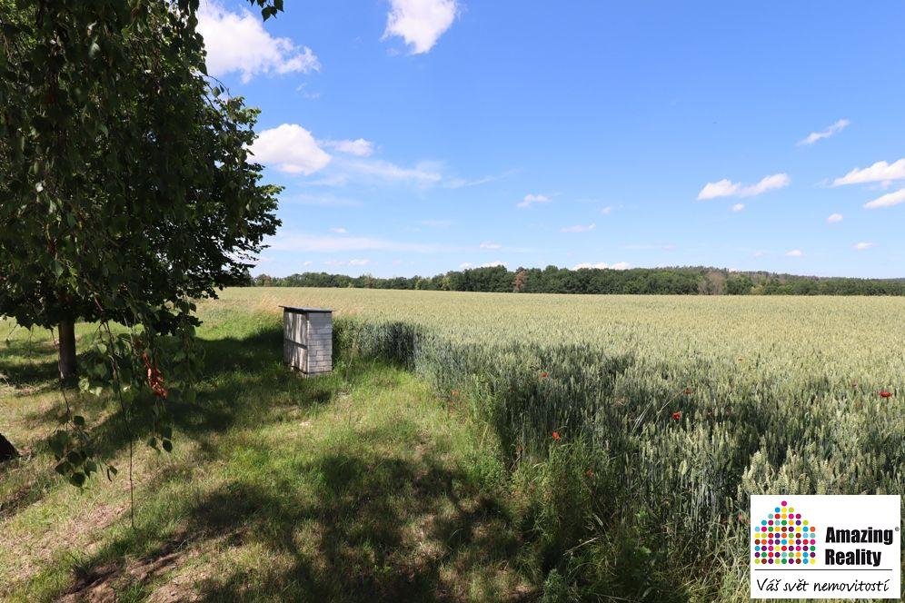 Prodej pozemku o celkové výměře 6.704 m2, v obci Zvíkovské P