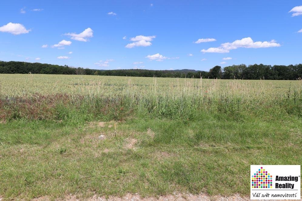 Prodej pozemku o celkové výměře 6.704 m2, v obci Zvíkovské P