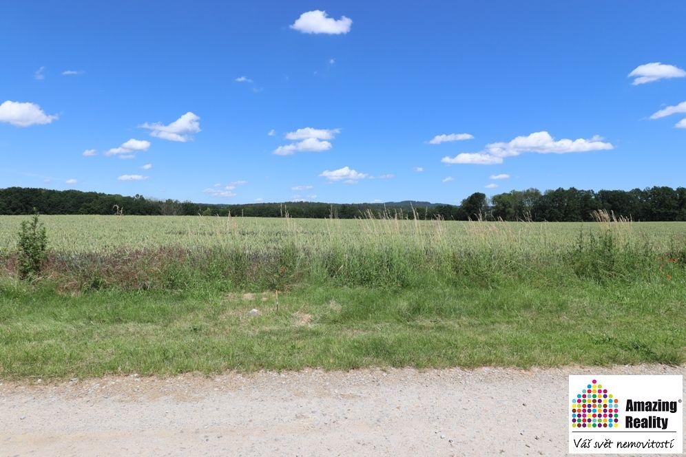 Prodej pozemku o celkové výměře 6.704 m2, v obci Zvíkovské P