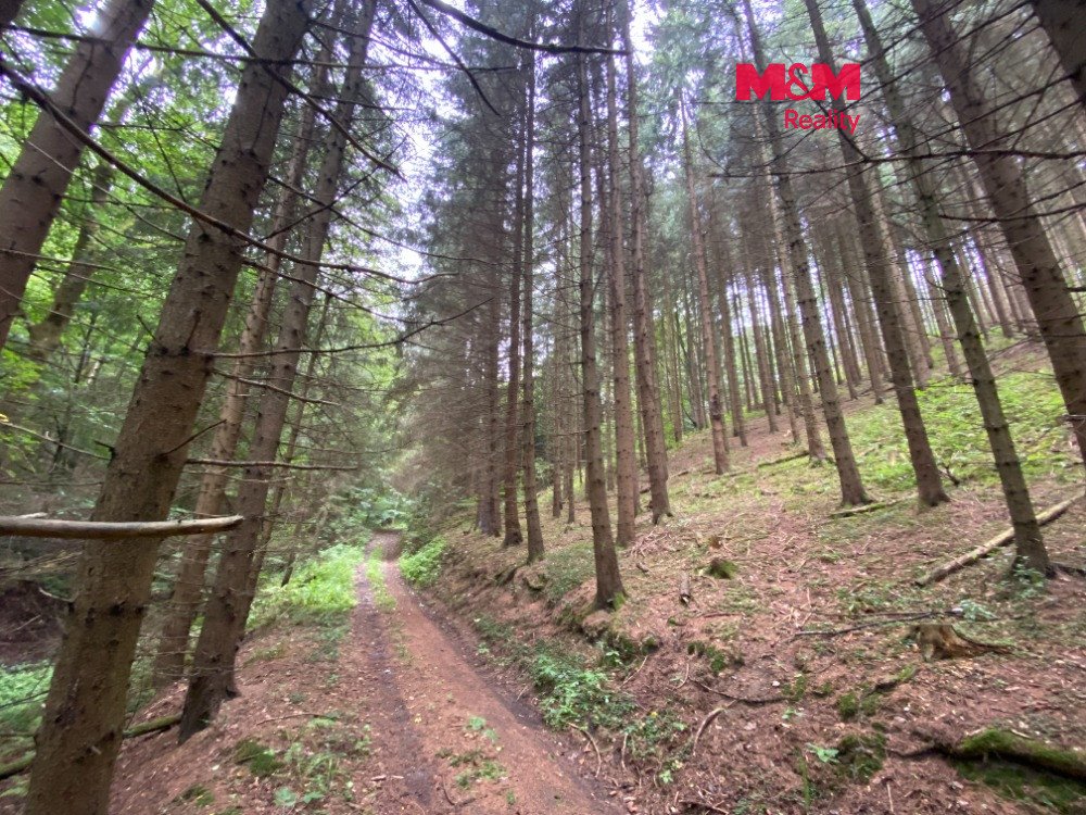 Prodej lesa 11485 m2, v Strážné