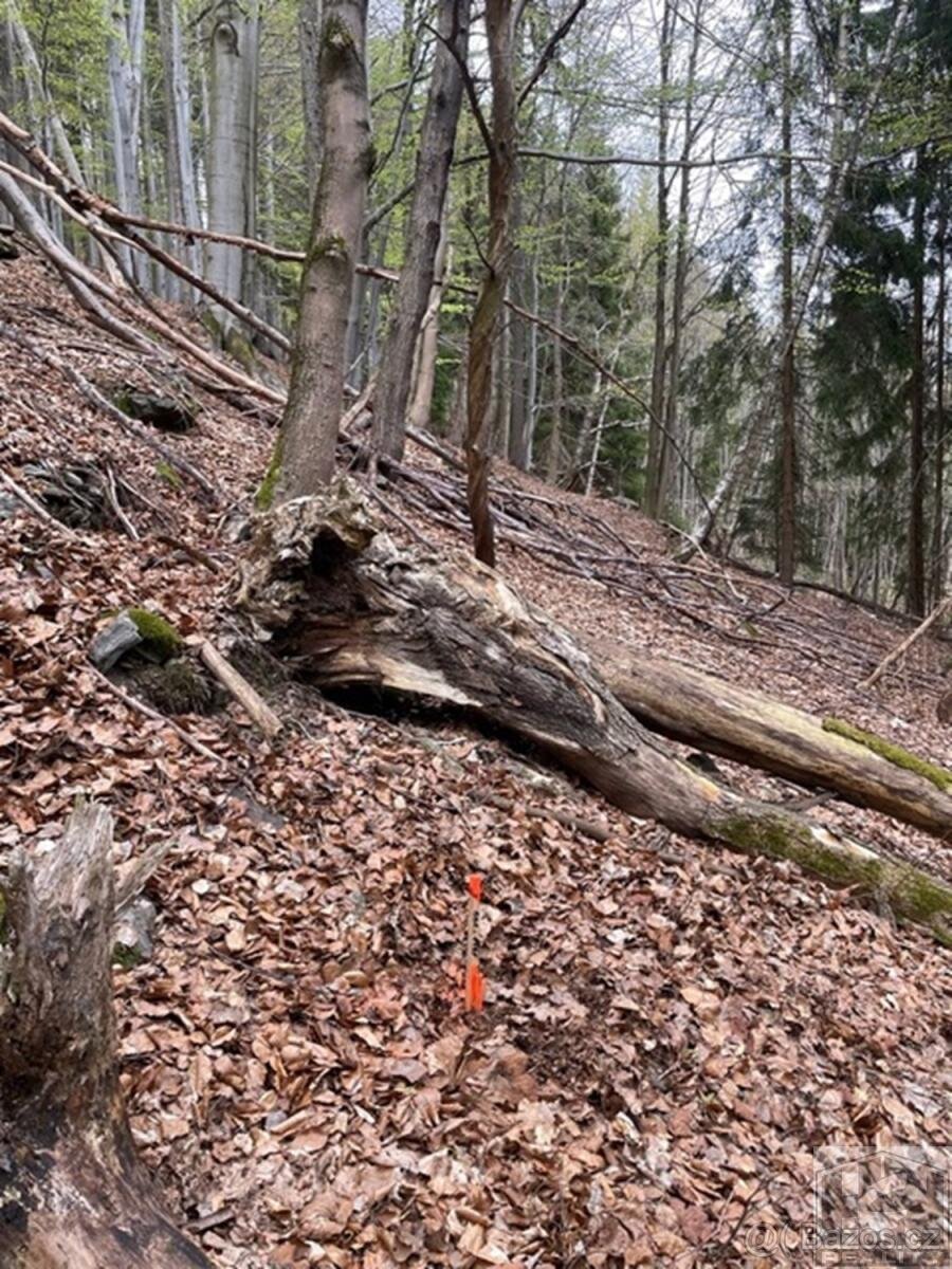 Prodej pozemku 3 303 m and sup2; v srdci Krkonoš  Paseky nad