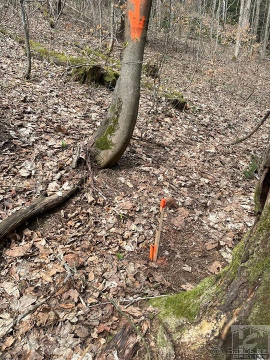 Prodej pozemku 3 303 m and sup2; v srdci Krkonoš  Paseky nad