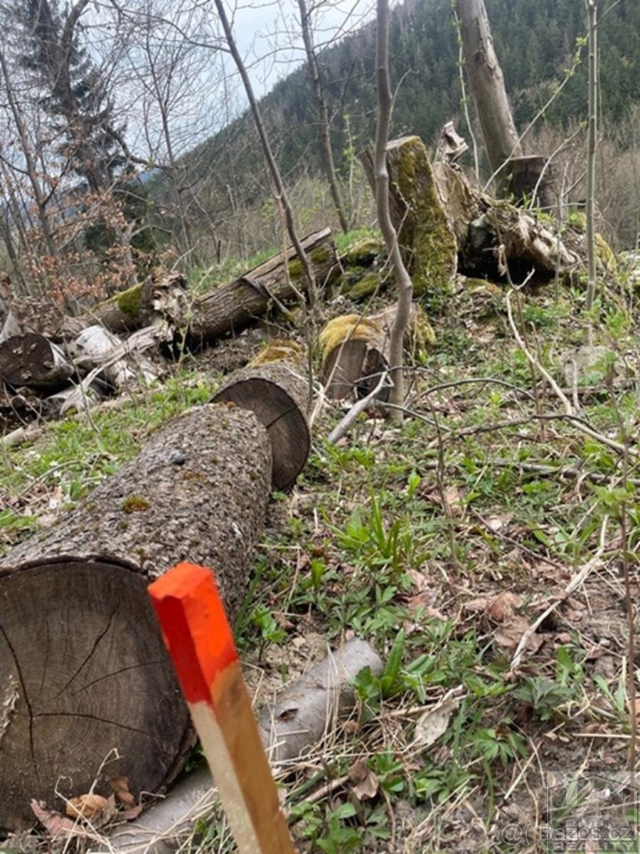 Prodej pozemku 3 303 m and sup2; v srdci Krkonoš  Paseky nad