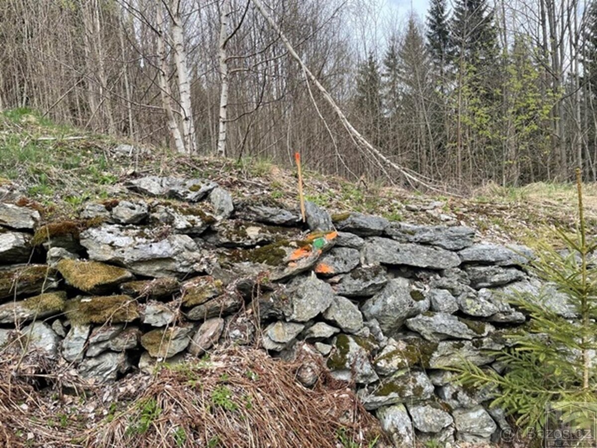 Prodej pozemku 3 303 m and sup2; v srdci Krkonoš  Paseky nad