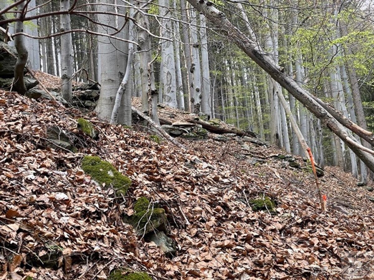 Prodej pozemku 3 303 m and sup2; v srdci Krkonoš  Paseky nad