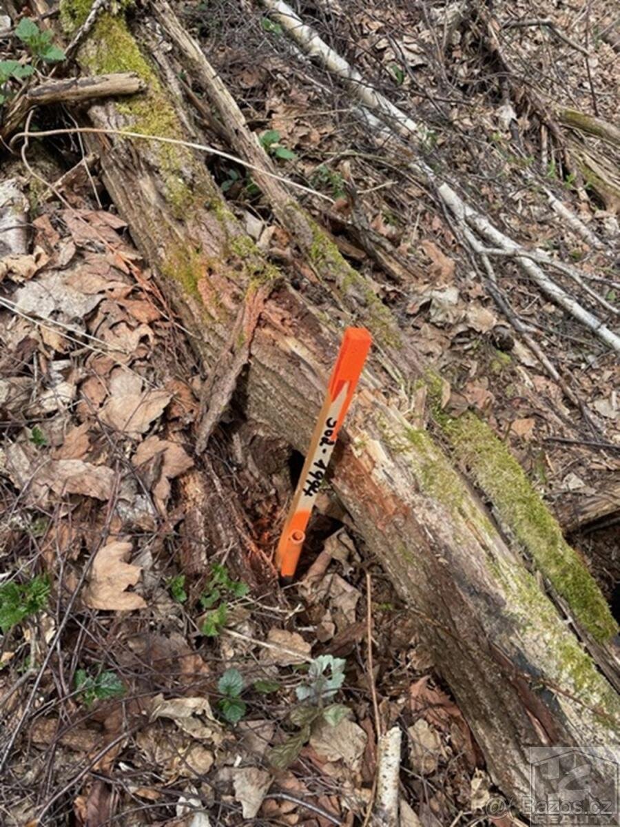 Prodej pozemku 3 303 m and sup2; v srdci Krkonoš  Paseky nad