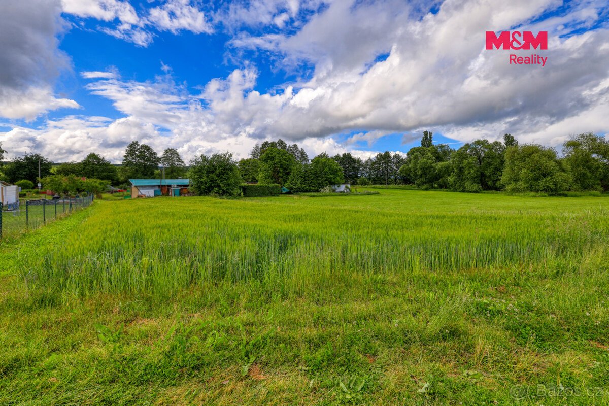 Prodej louky, 1093 m², Ctiboř