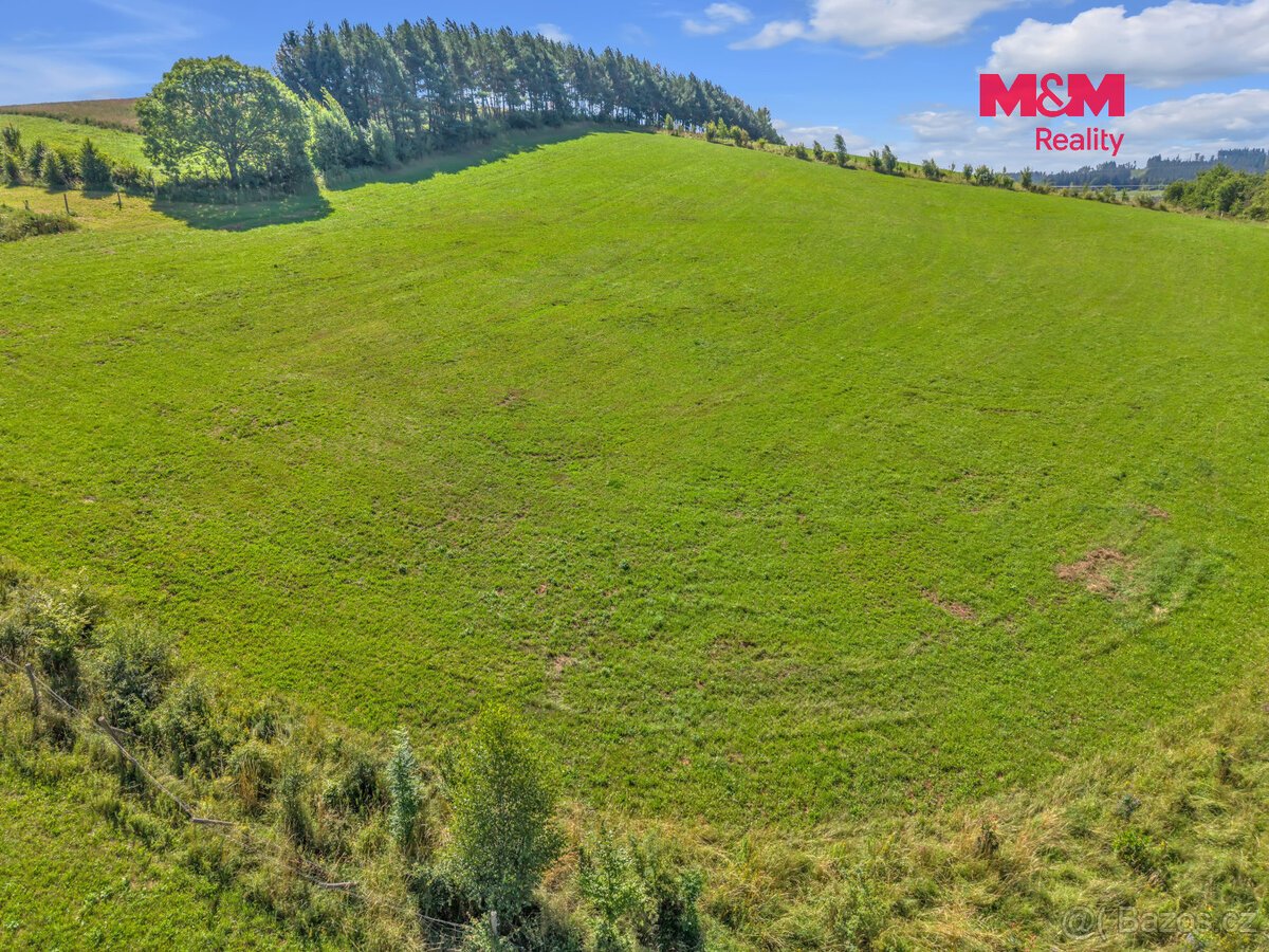 Prodej louky, 17267 m², Pecka