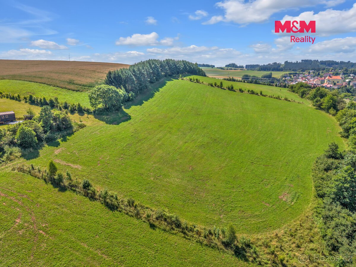Prodej louky, 17267 m², Pecka