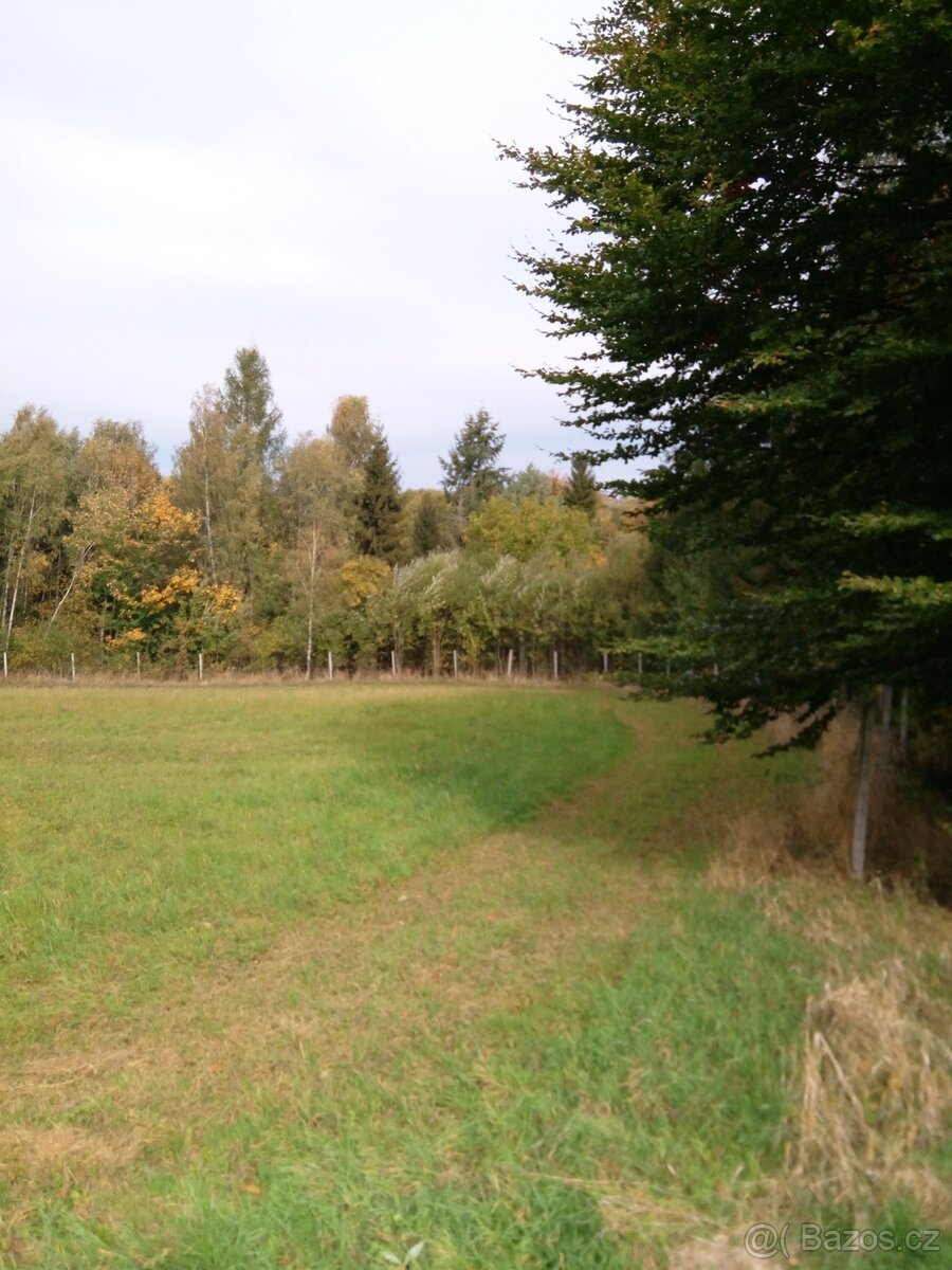 Sovinec-staveb.pozemek 2000 m2-750 Kč/m2