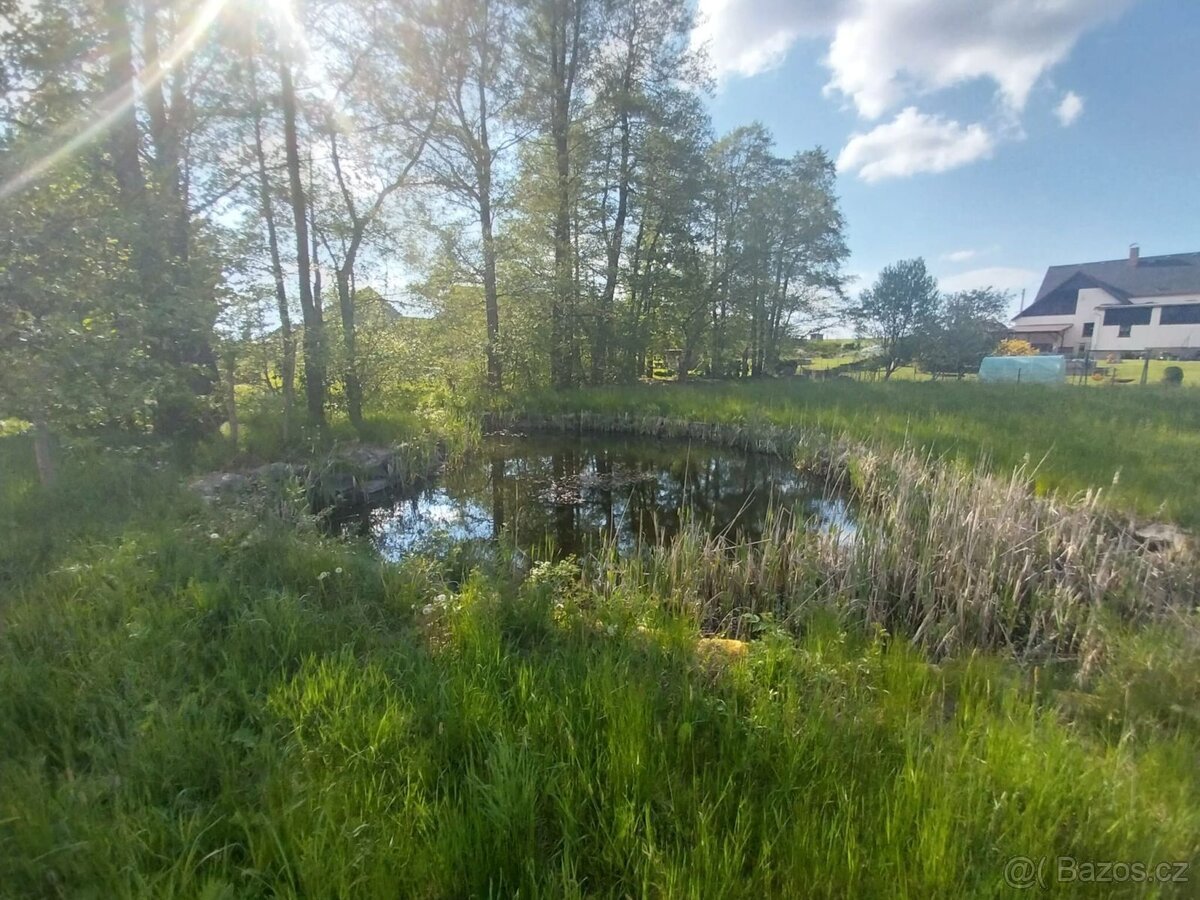 Prodej stavebního pozemku 3454 m2, Dětřichov - Dětřichov u F