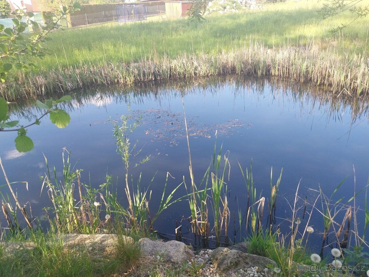 Prodej stavebního pozemku 3454 m2, Dětřichov - Dětřichov u F
