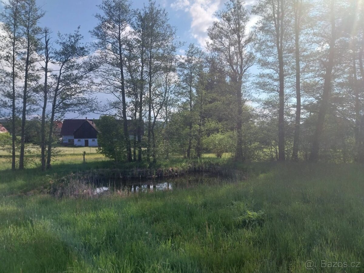 Prodej stavebního pozemku 3454 m2, Dětřichov - Dětřichov u F