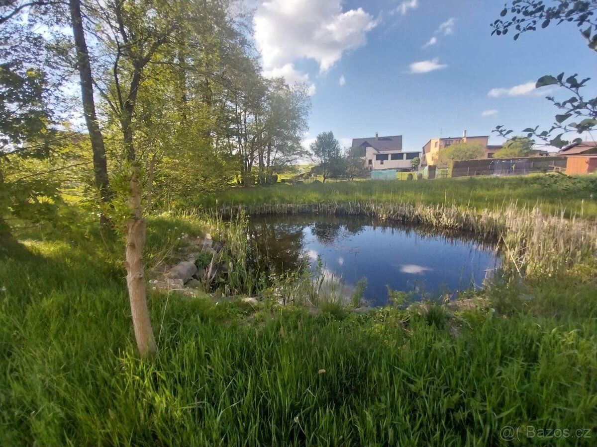 Prodej stavebního pozemku 3454 m2, Dětřichov - Dětřichov u F