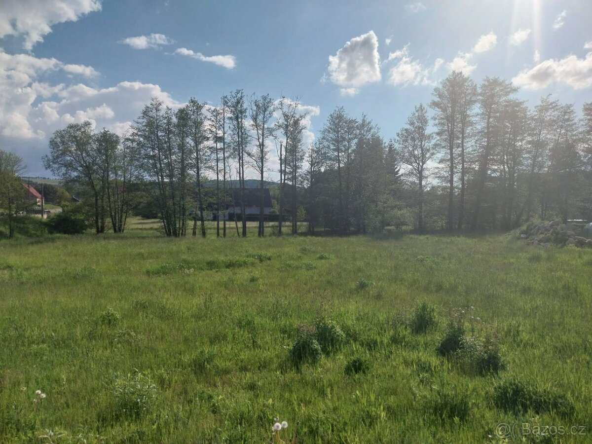 Prodej stavebního pozemku 3454 m2, Dětřichov - Dětřichov u F