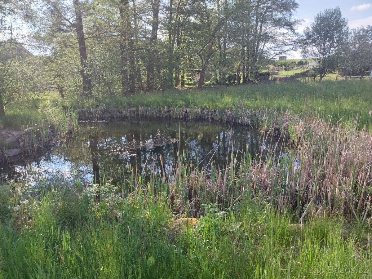 Prodej stavebního pozemku 3454 m2, Dětřichov - Dětřichov u F