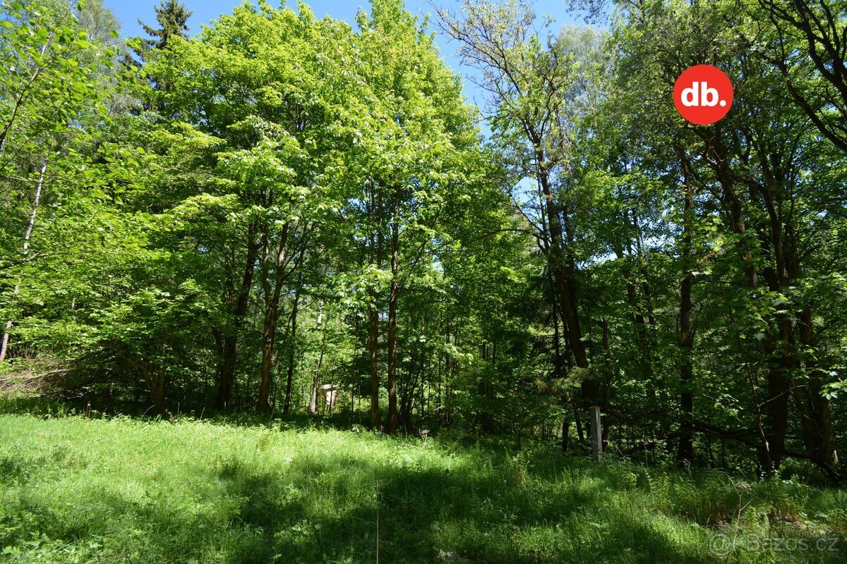 Prodej ostatní pozemky, 3 609 m² - Merklín, ev.č. 01580