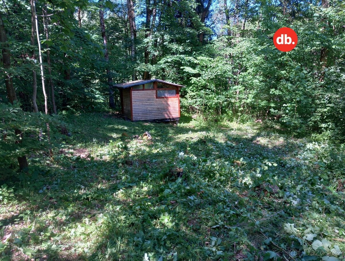 Prodej ostatní pozemky, 3 609 m² - Merklín, ev.č. 01580
