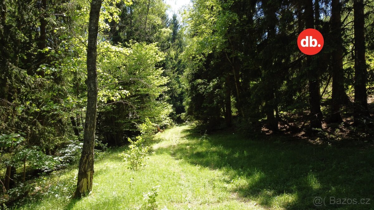 Prodej ostatní pozemky, 3 609 m² - Merklín, ev.č. 01580
