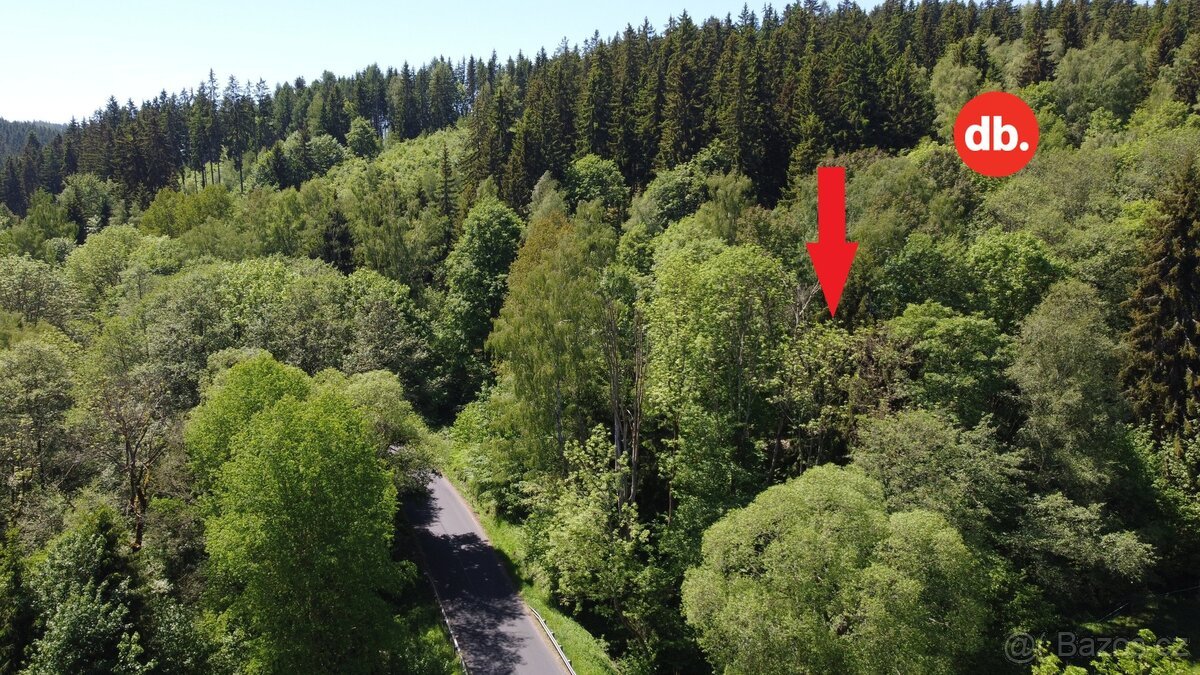 Prodej ostatní pozemky, 3 609 m² - Merklín, ev.č. 01580