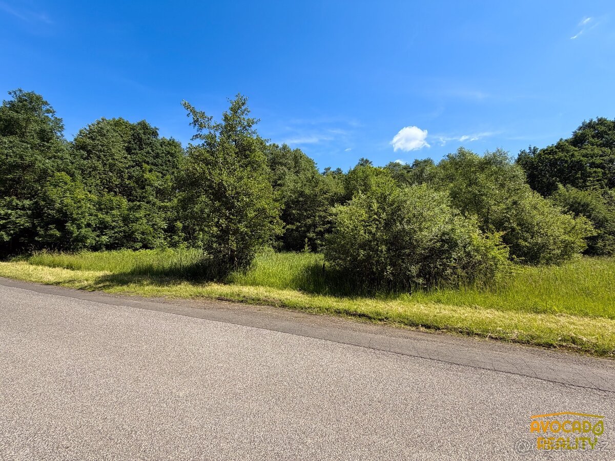 Prodej pozemku 4 175 m² ve Skalici u České Lípy