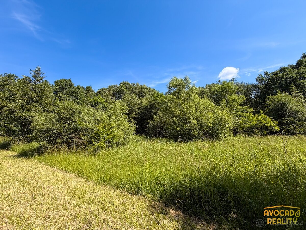 Prodej pozemku 4 175 m² ve Skalici u České Lípy