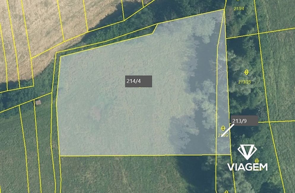 Pole 4 651 m², Podíl 25 % o výměře 1 163 m²