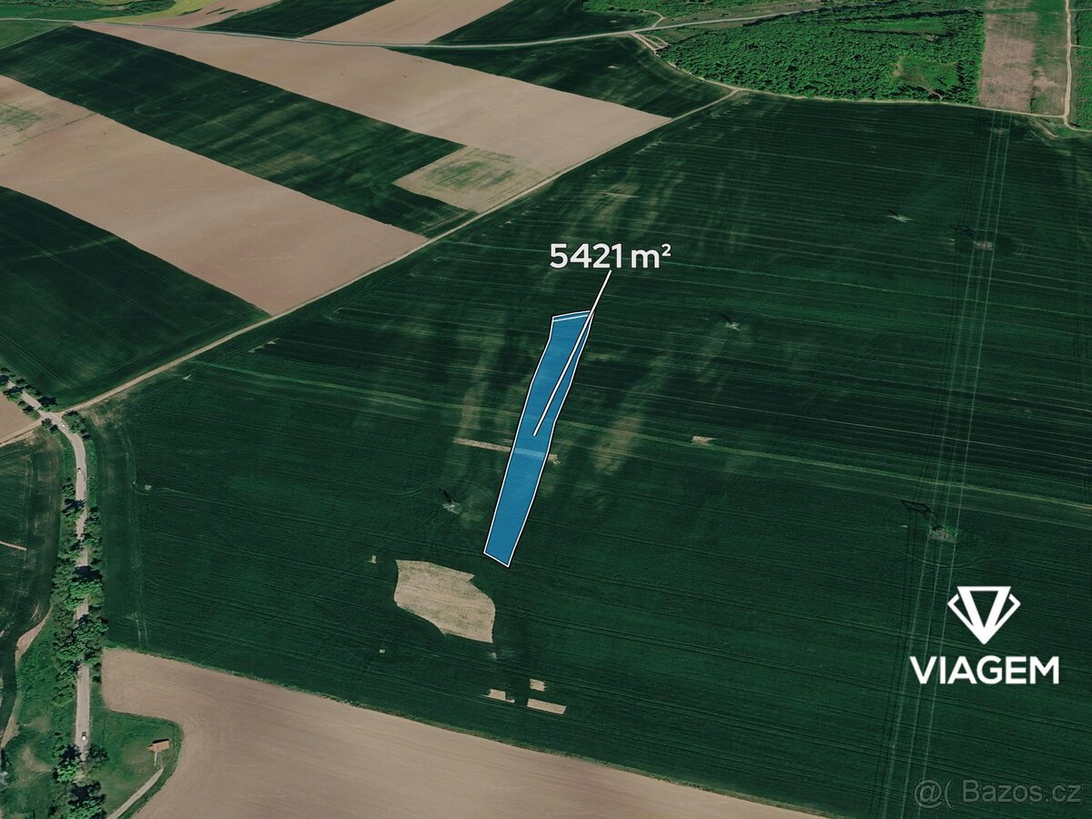 Pole 5 421 m², Podíl 6 % o výměře 339 m²