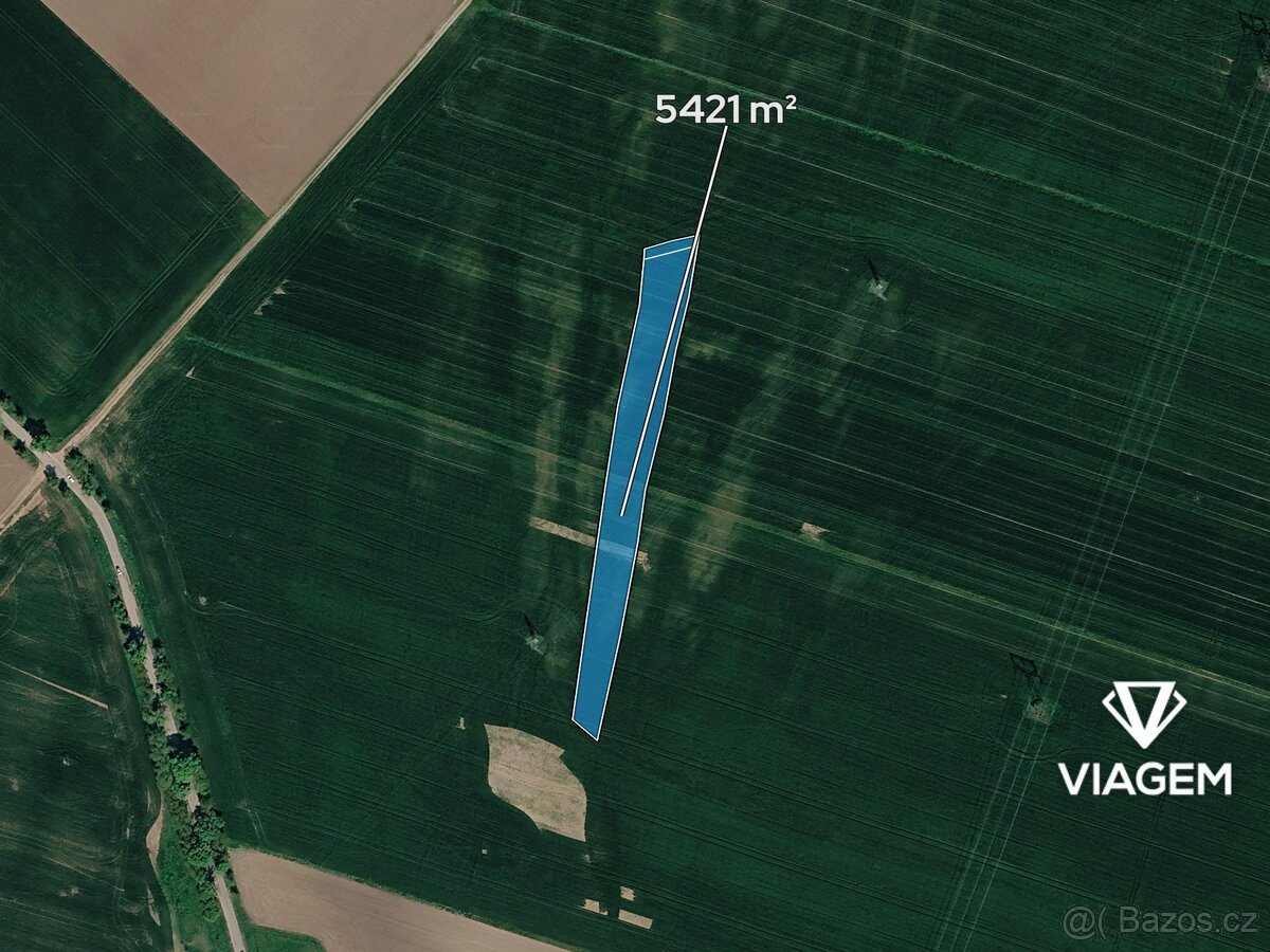 Pole 5 421 m², Podíl 6 % o výměře 339 m²
