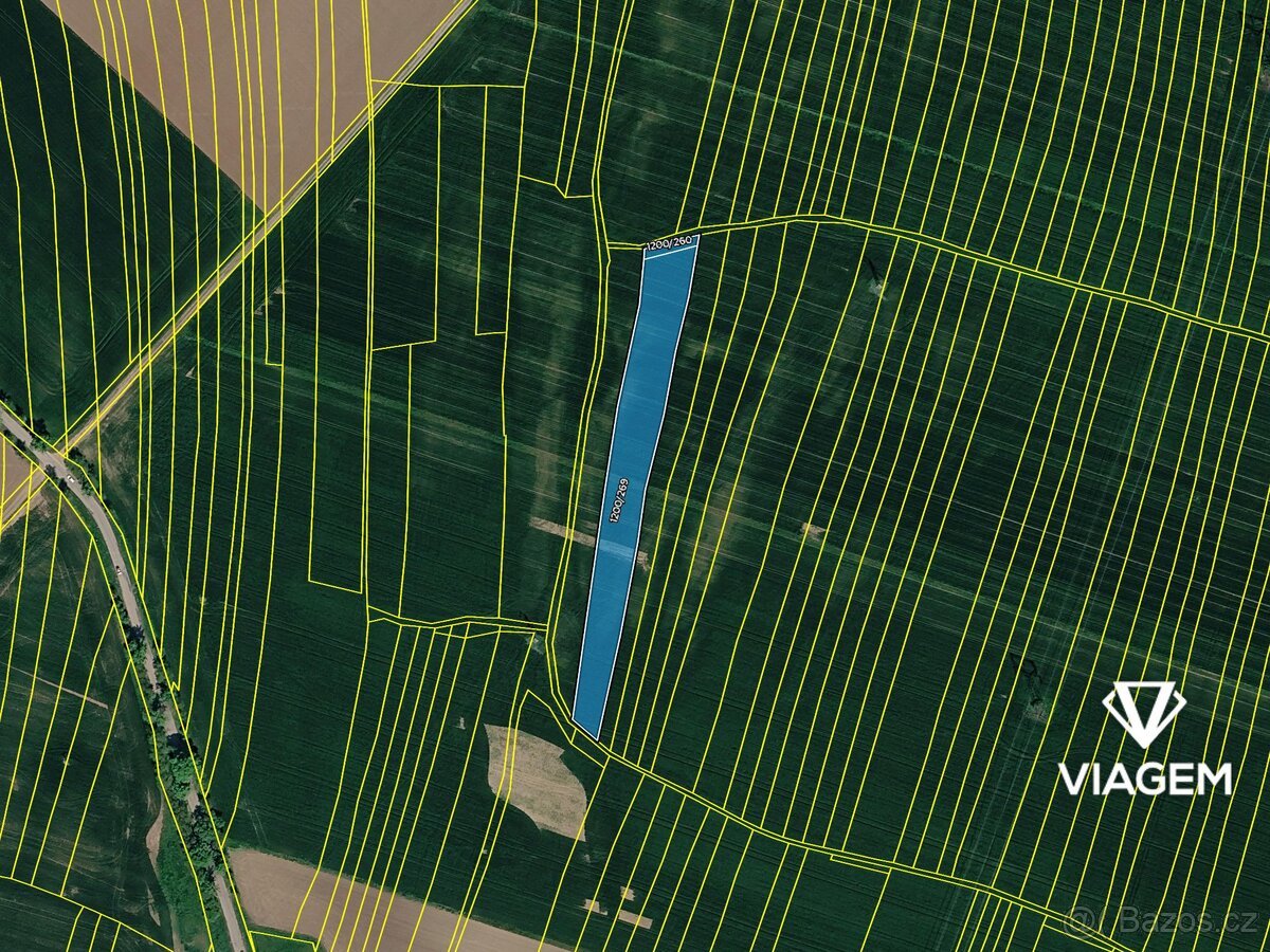 Pole 5 421 m², Podíl 6 % o výměře 339 m²