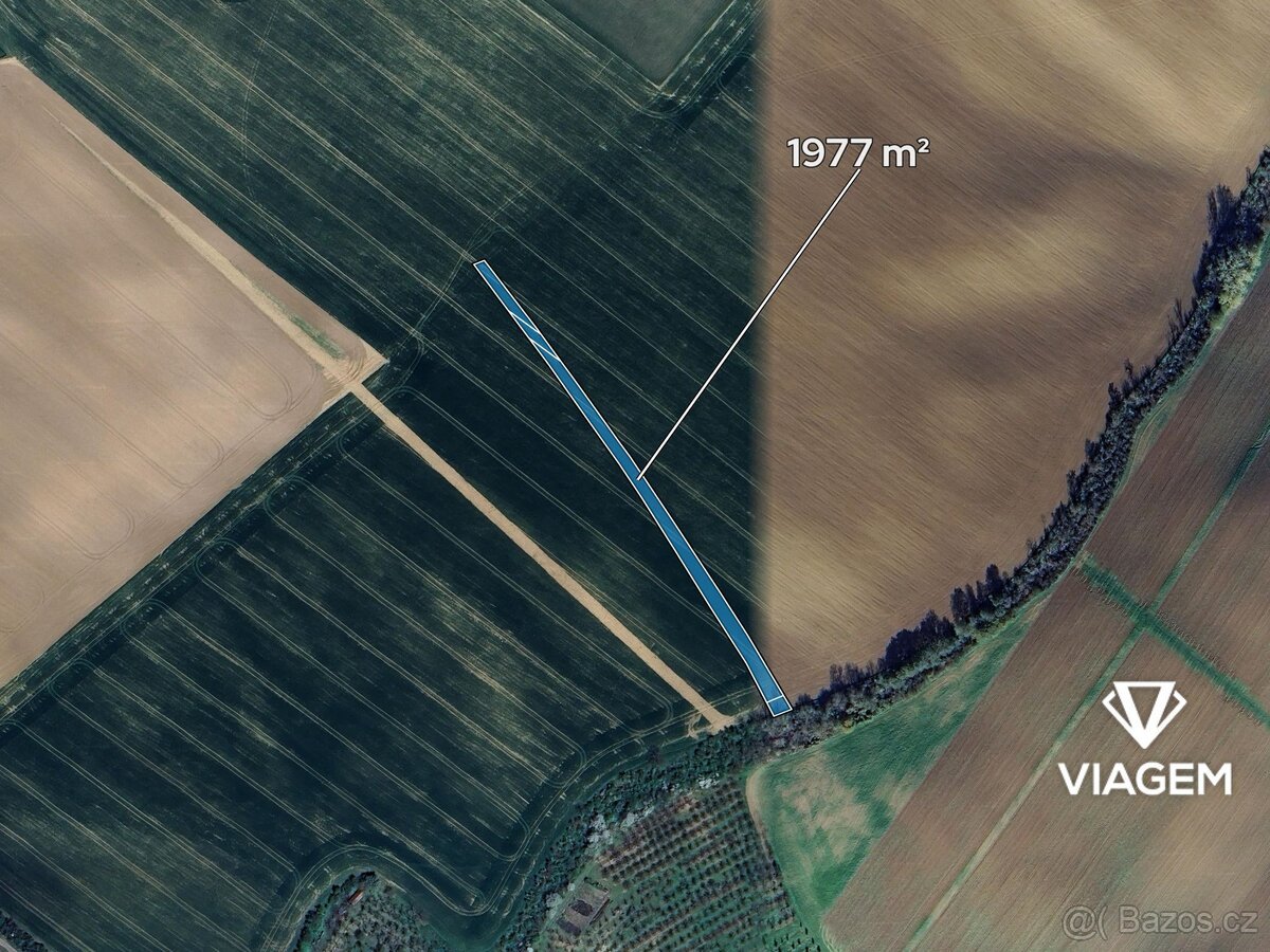 Pole 1 977 m², Podíl 33 % o výměře 659 m²