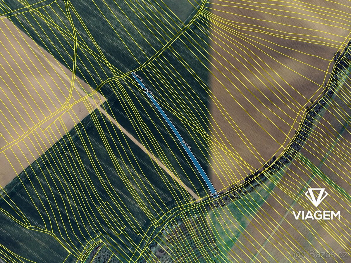 Pole 1 977 m², Podíl 33 % o výměře 659 m²