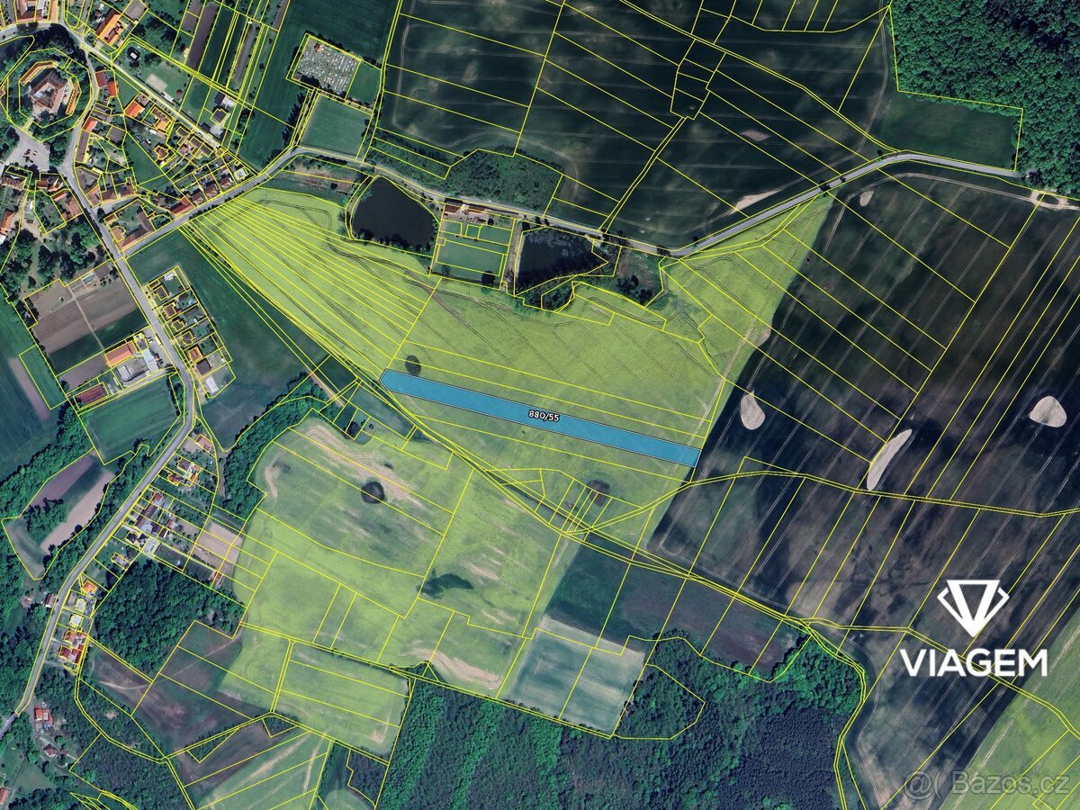Pole 8 581 m², Podíl 11 % o výměře 953 m²