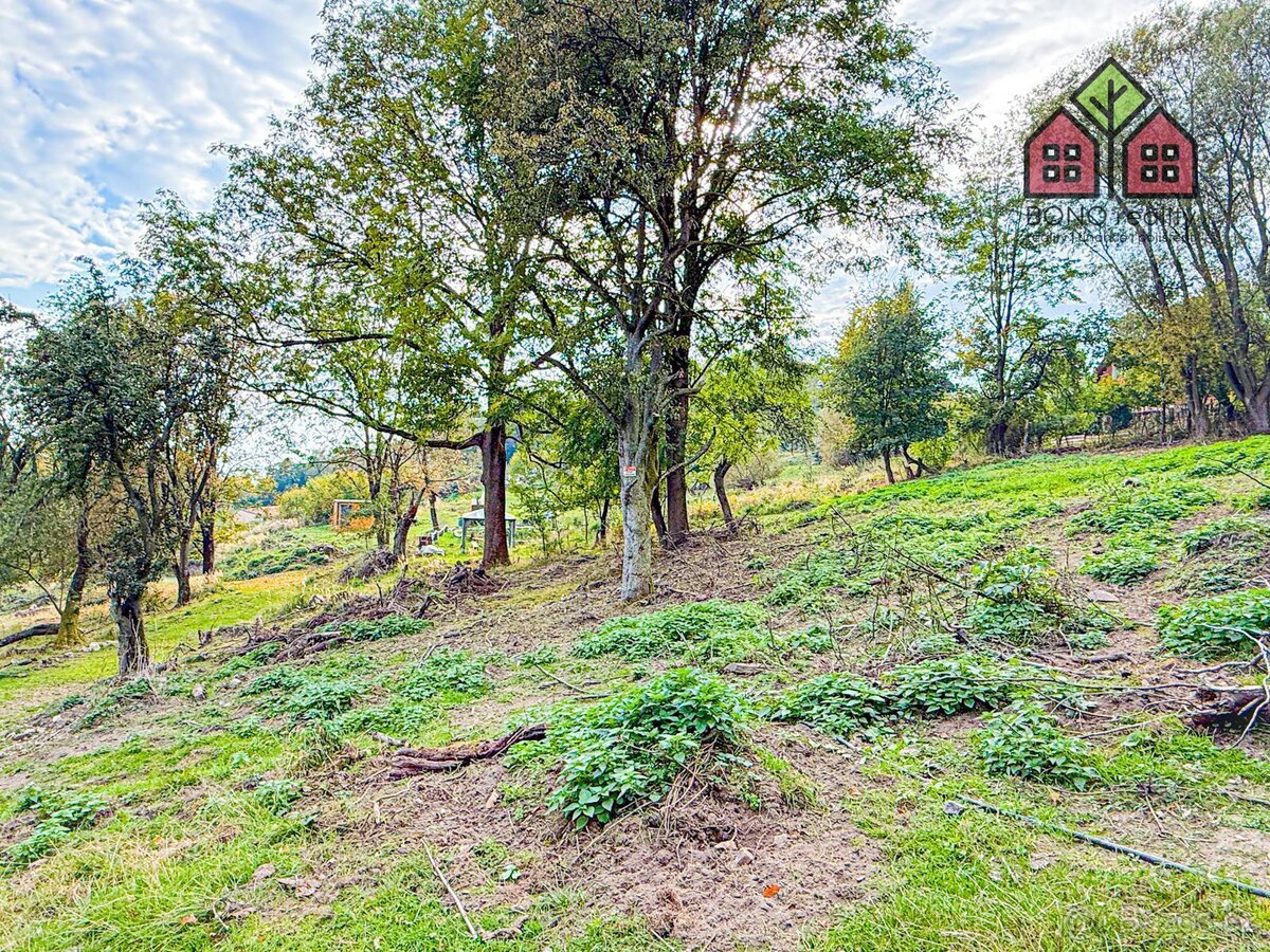 Stavební pozemek, výměra 7538 m2, sítě v dosahu, klidná přír