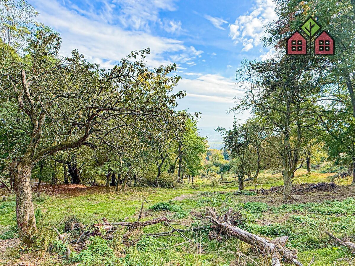 Stavební pozemek, výměra 7538 m2, sítě v dosahu, klidná přír