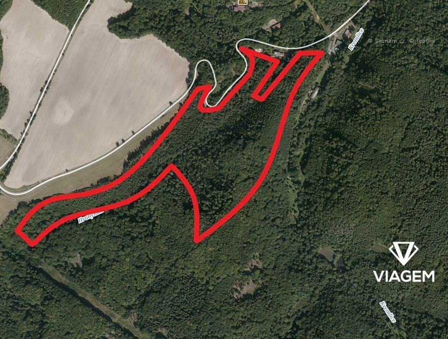 Les 175 603 m², Podíl 11 % o výměře 20 048 m²