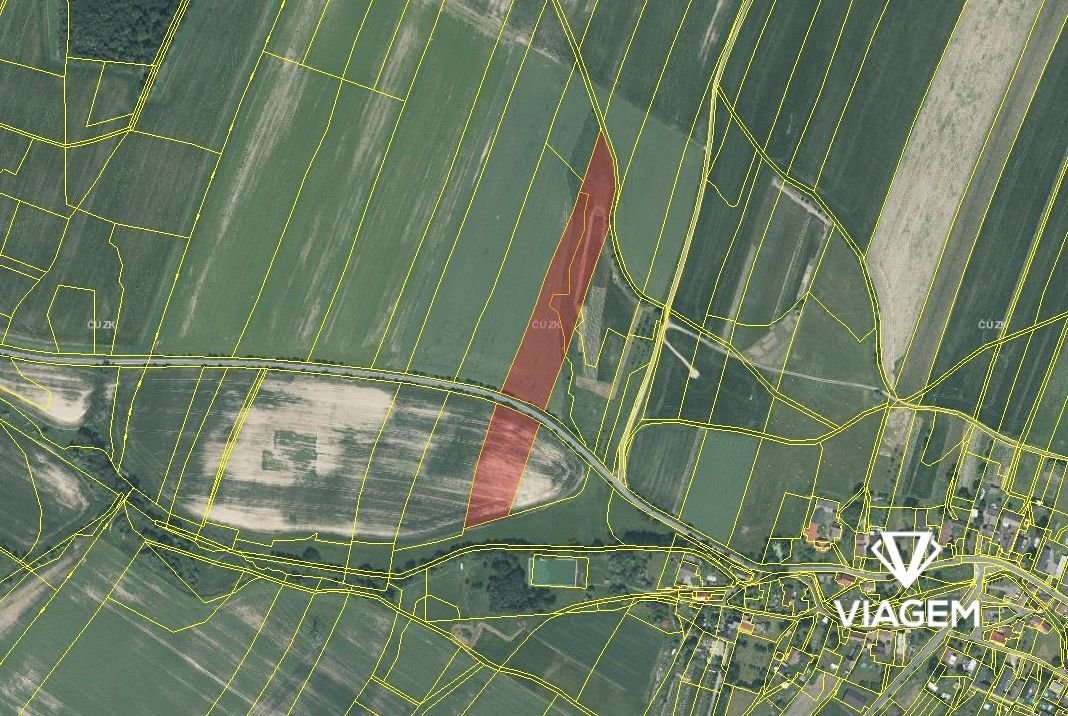 Pole 20 293 m², Podíl 33 % o výměře 6 764 m²