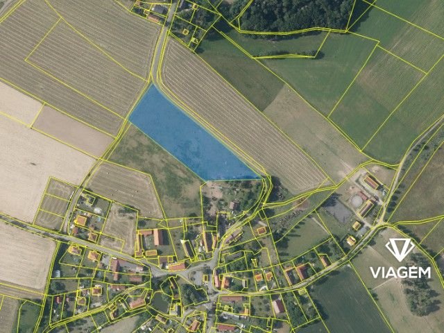 Pole 13 006 m², Podíl 17 % o výměře 2 168 m²