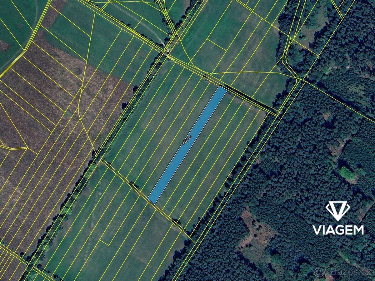 Pole 3 764 m², Podíl 33 % o výměře 1 255 m²