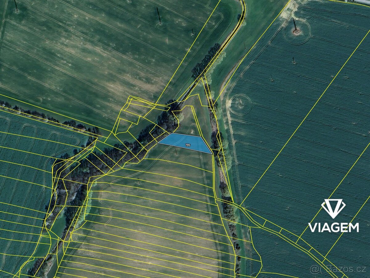 Pole 1 748 m², Podíl 33 % o výměře 583 m²
