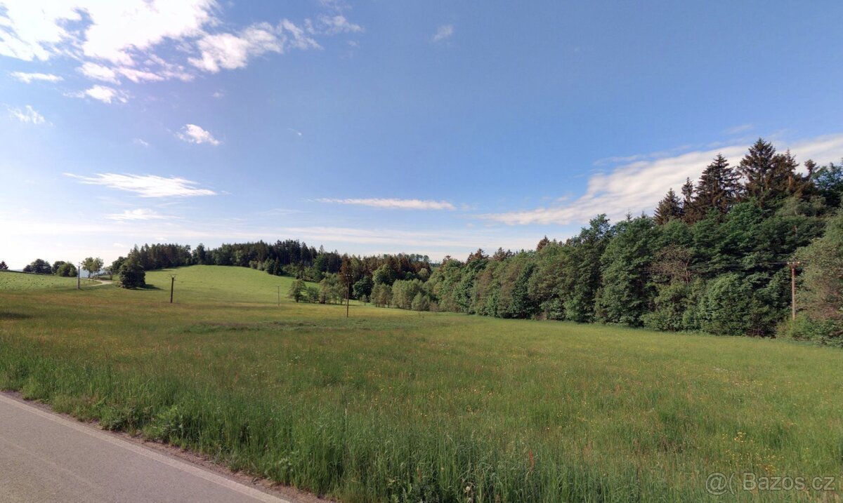 Louka, prodej, Hluboké, Dalečín, Žďár nad Sázavou