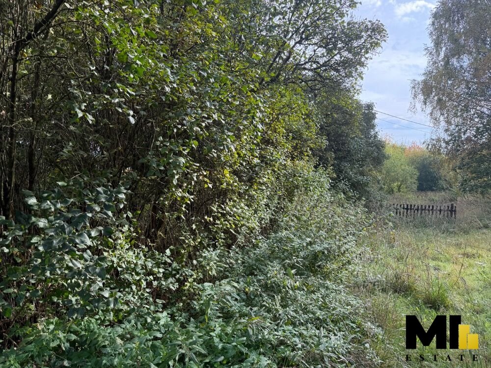 Prodej pozemku pro bydlení, 1049 m2, Košťálov