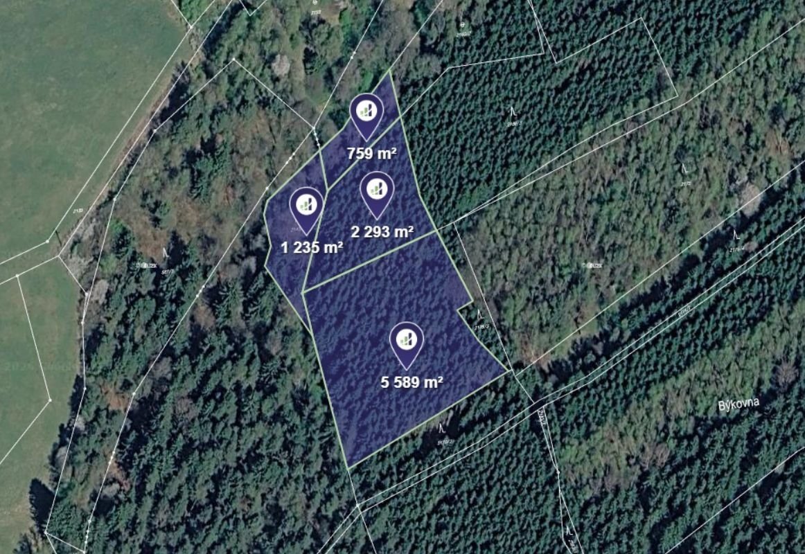 Prodej podílu 1/3 lesa 3 292 m², Větřní