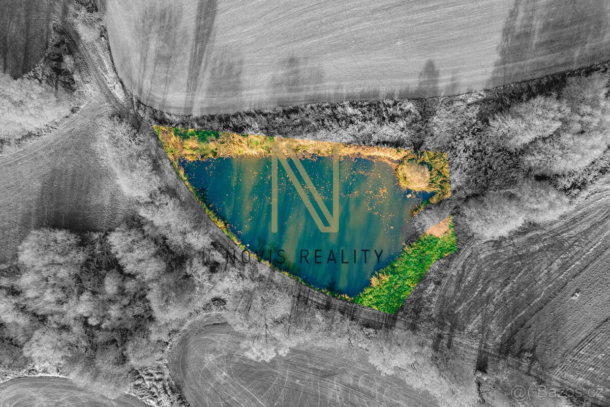 Prodej, rybník, 2 713 m², Týnec, okres Klatovy